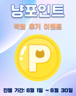팝업